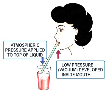 Carburetor Vacuum