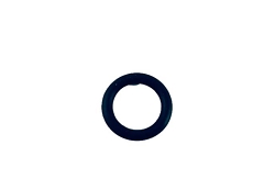 O-Ring G1203