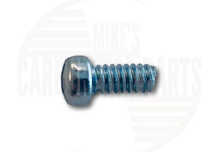 Throttle Shaft Screws SET OF 10 6-32